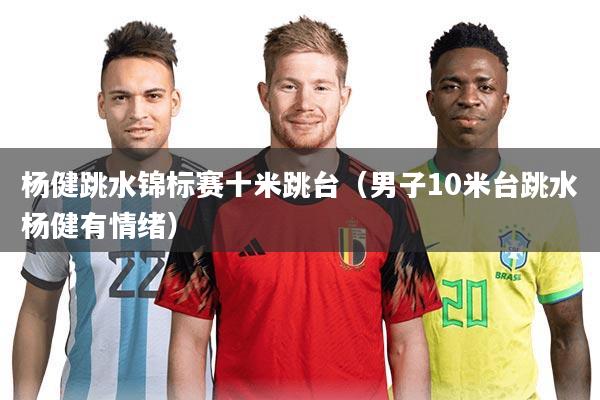 杨健跳水锦标赛十米跳台(男子10米台跳水杨健有情绪)