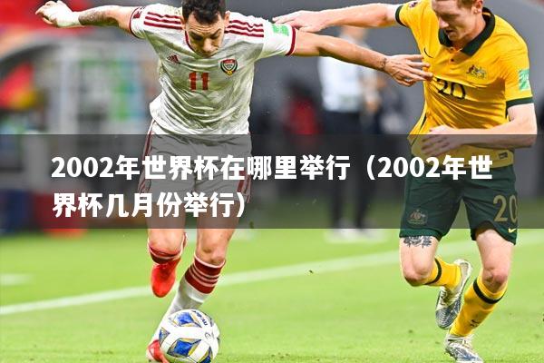 2002年世界杯在哪里举行（2002年世界杯几月份举行）
