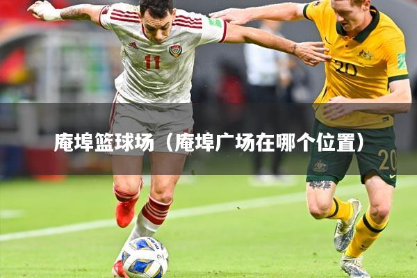 庵埠篮球场(庵埠广场在哪个位置)