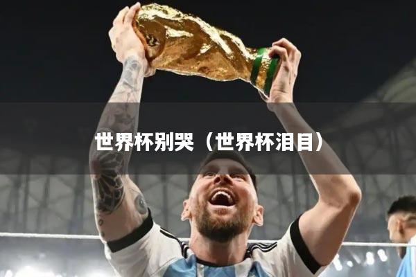 世界杯别哭（世界杯泪目）