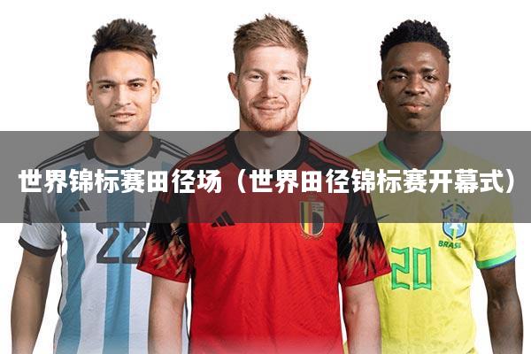 世界锦标赛田径场(世界田径锦标赛开幕式)