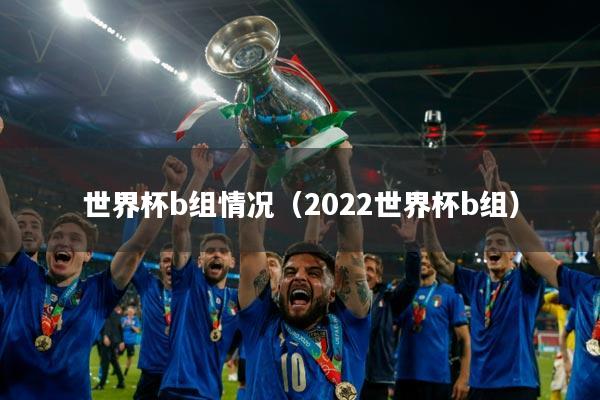 世界杯b组情况(2022世界杯b组)
