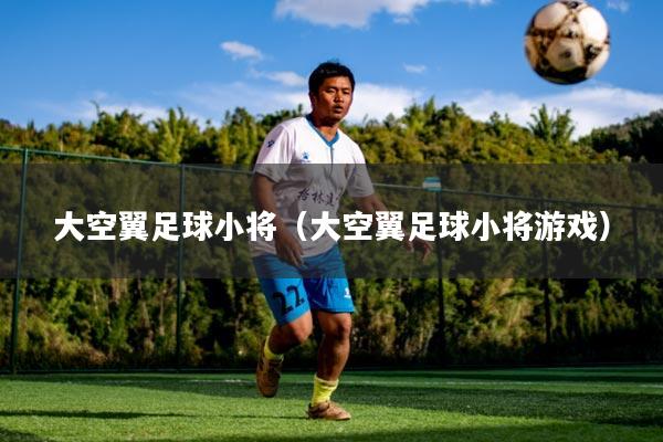 大空翼足球小将(大空翼足球小将游戏)