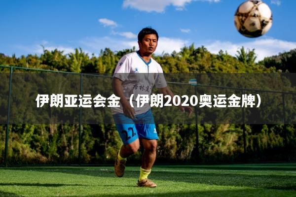 伊朗亚运会金(伊朗2020奥运金牌)