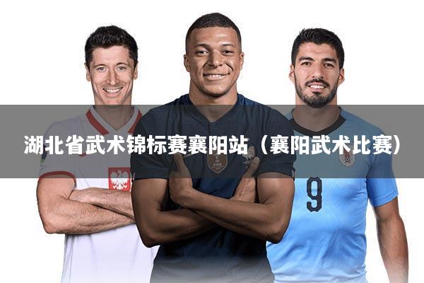 湖北省武术锦标赛襄阳站(襄阳武术比赛)