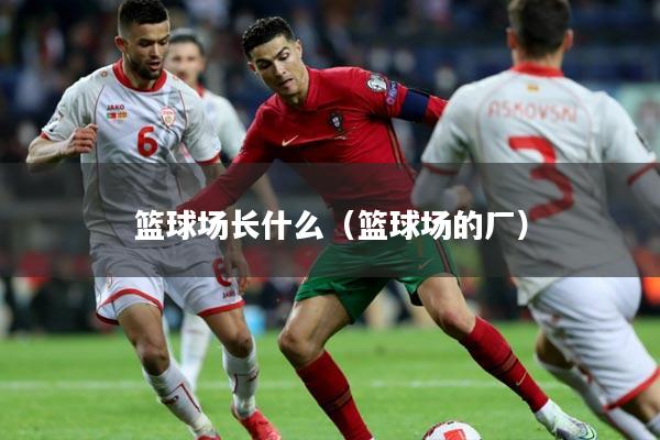 篮球场长什么(篮球场的厂)