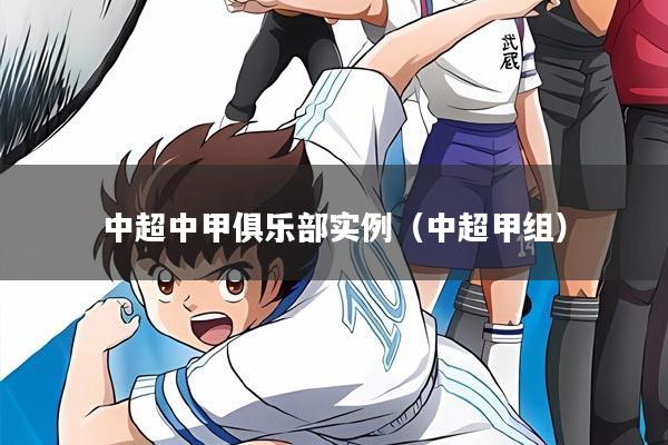 中超中甲俱乐部实例（中超甲组）