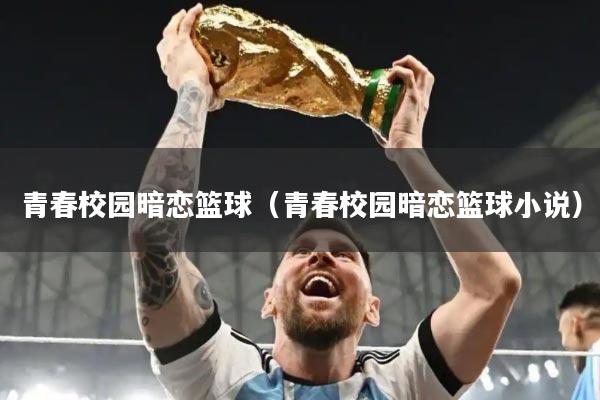 青春校园暗恋篮球（青春校园暗恋篮球小说）