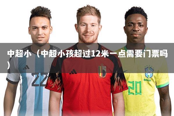 中超小（中超小孩超过12米一点需要门票吗）