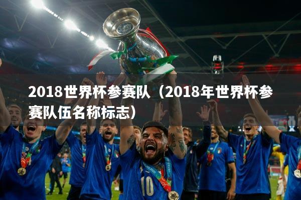 2018世界杯参赛队（2018年世界杯参赛队伍名称标志）