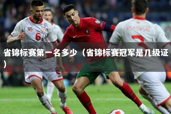 省锦标赛第一名多少（省锦标赛冠军是几级证）