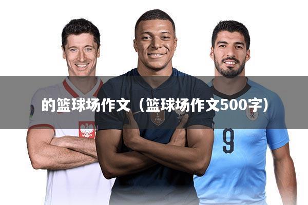 的篮球场作文（篮球场作文500字）