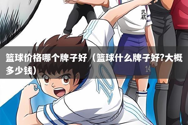 篮球价格哪个牌子好（篮球什么牌子好?大概多少钱）