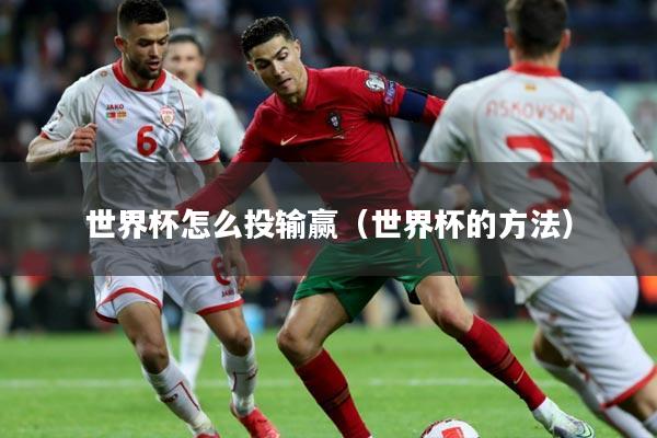 世界杯怎么投输赢(世界杯的方法)